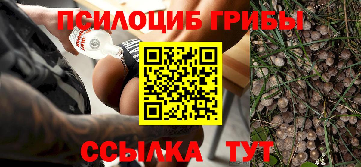 Галлюциногенные грибы Magic Shrooms Отрадное